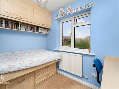 Picture 11